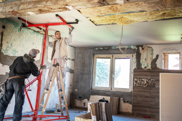 Best Attic Insulation Installation  in Davis Junction, IL