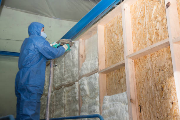 Best Insulation Contractors for Homes  in Davis Junction, IL
