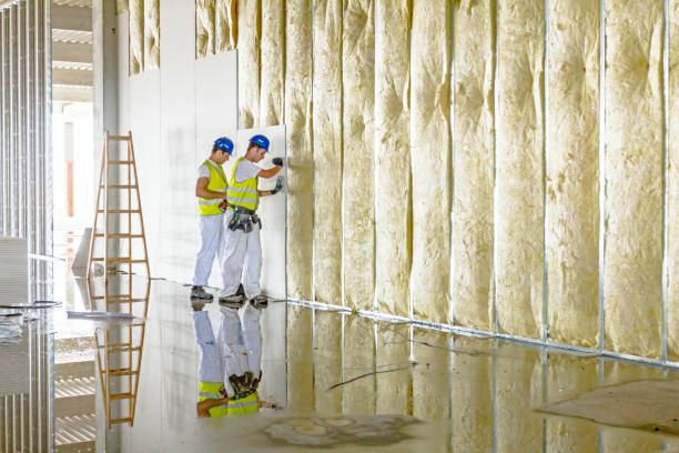 Professional Insulation Contractor in Davis Junction, IL